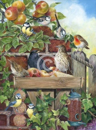 Happy Birds