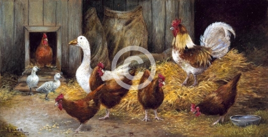 Intruders